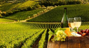 WINE TOURS  in Birmingham